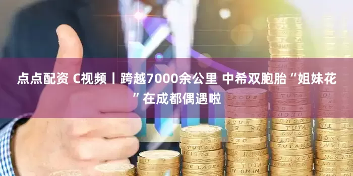 点点配资 C视频丨跨越7000余公里 中希双胞胎“姐妹花”在成都偶遇啦