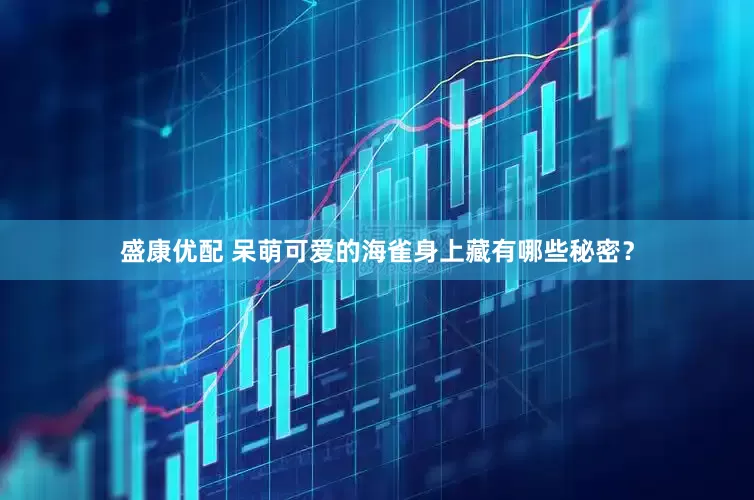盛康优配 呆萌可爱的海雀身上藏有哪些秘密？