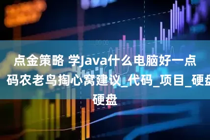 点金策略 学Java什么电脑好一点？码农老鸟掏心窝建议_代码_项目_硬盘