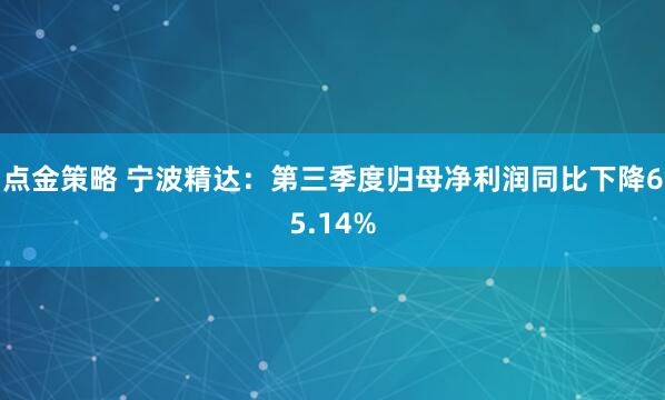 点金策略 宁波精达：第三季度归母净利润同比下降65.14%