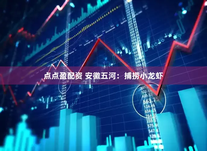 点点盈配资 安徽五河:捕捞小龙虾