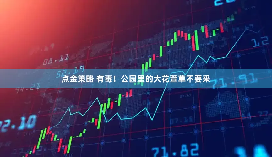 点金策略 有毒！公园里的大花萱草不要采